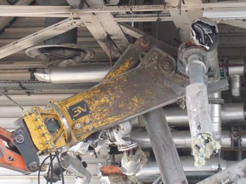 CS Marilyn Heavy Steel Shears